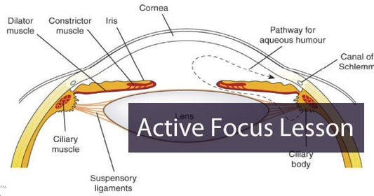 Reversing Myopia Through Active Focus: Understanding the Mechanism and Methods